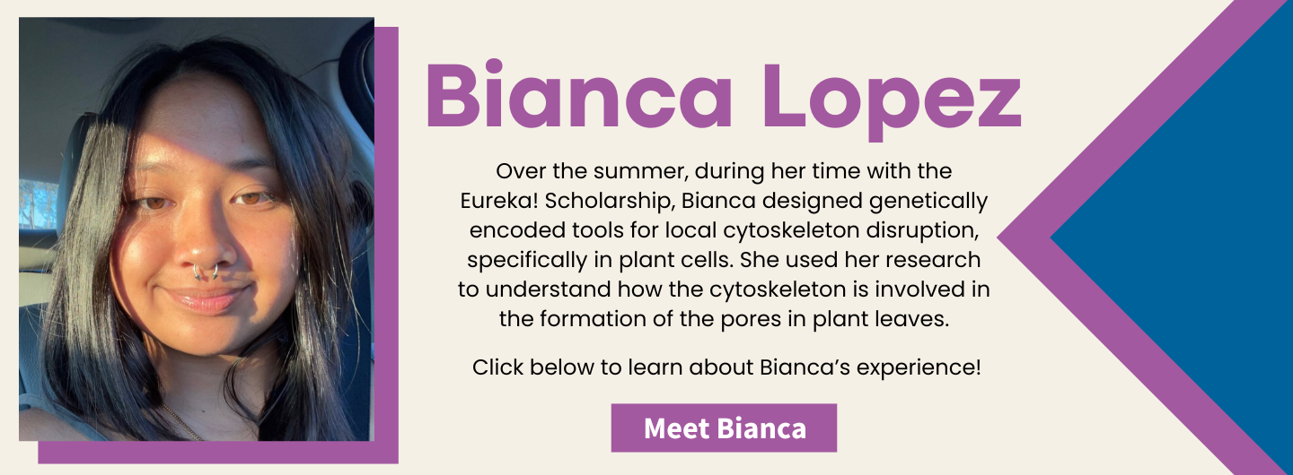 Bianca Lopez Banner